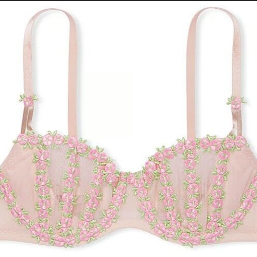 Victoria's Secret Pale Pink Sheer Bra & Bikini Set with Pink Floral Embroidery